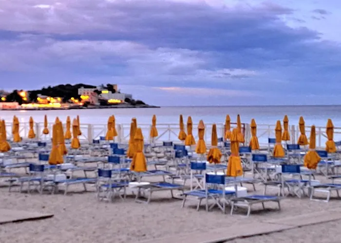 Mondello Manick Mare